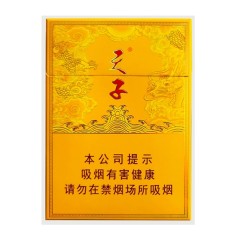 天子（中支）