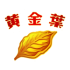 黄金叶