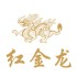 红金龙