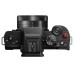 Panasonic LUMIX G100 4k Mirrorless
